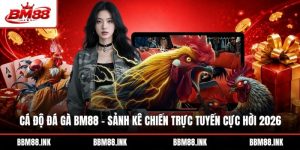 Cá Độ Đá Gà BM88